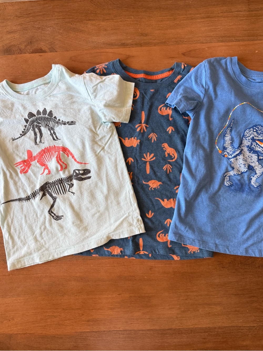 💥2/$20 Boys' Short Sleeve Dinosaur Tee Set 5T